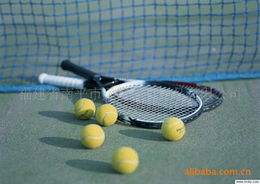 網球運動 休閑質量好廠家直銷信息
