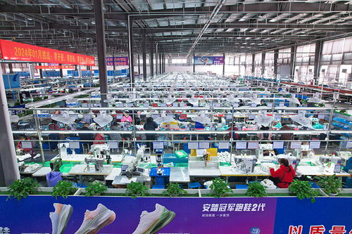 資陽安岳 聚圈強鏈 鞋服產業跑出發展 加速度