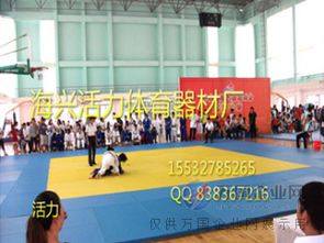 柔道墊 柔道墊子生產廠家圖 生產比賽訓練柔道墊子柔道墊