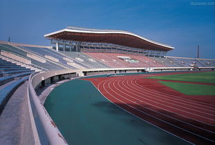 蘭州知名的塑膠跑道供應商 天水跑道設計