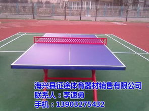 張家口乒乓球臺,家用乒乓球臺制造,征途體育 推薦商家 高清圖片 高清大圖