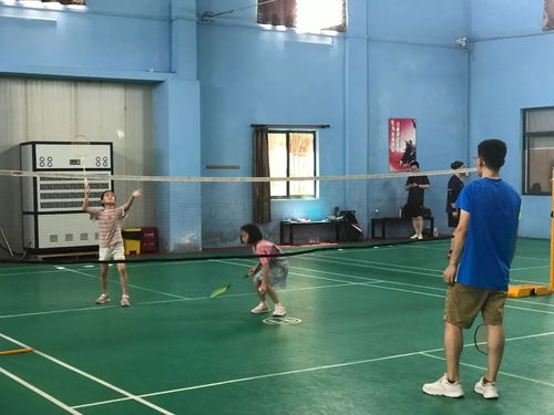 金山已開放59家室內體育場館 鍛煉 健身氛圍濃厚