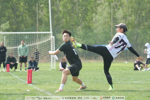 真體育 更團結 第三屆北京男子飛盤公賽拉開戰幕 近500名愛好者參賽