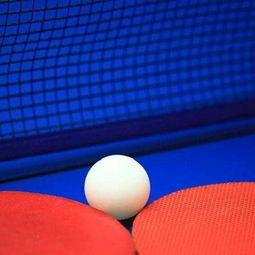 凱越體育用品加盟 凱越體育用品加盟多少錢 凱越體育用品連鎖加盟店 3158創(chuàng)業(yè)信息網(wǎng)