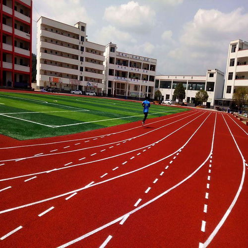 環(huán)保全塑形塑膠跑道材料 德富體育 推薦商家 高清圖片 高清大圖