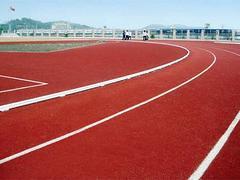 體育球場地坪主選福州寶麗昌裝飾--福州運動場廠家圖片|體育球場地坪主選福州寶麗昌裝飾--福州運動場廠家產(chǎn)品圖片由福州寶麗昌裝飾工程公司生產(chǎn)提供-