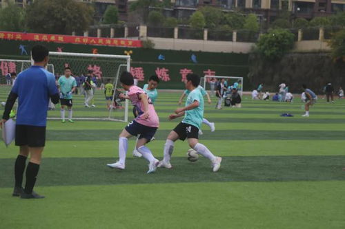 颯 安居育才第十六屆體育節(jié)之初中足球比賽燃情開幕