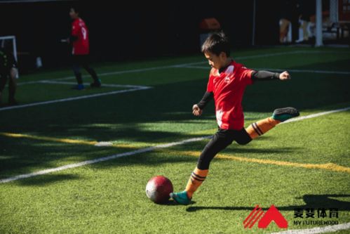 麥斐體育課程預(yù)售排隊(duì),目標(biāo)3年10萬學(xué)員