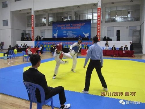 廣東體育一周資訊回顧