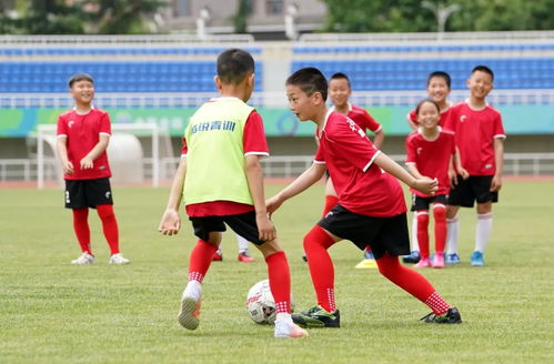 中國體育產業 一周速覽 3.14 3.20 新華網體育