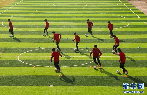 安徽合肥 青少年追夢綠茵場