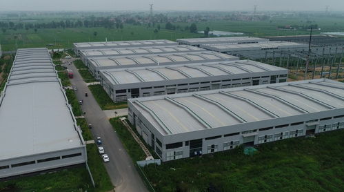 商丘市引進足力健等企業 整合資源 培育品牌 推動產業發展