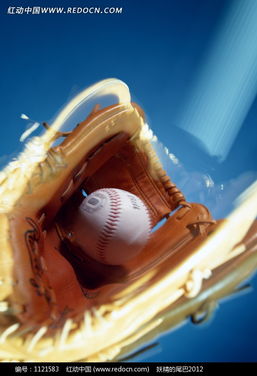 手套中的白色棒球圖片免費下載 編號1121583 紅動網