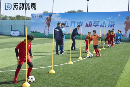 時間會告訴你答案,訓練營期末測試喜報不斷