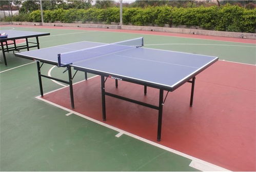 茂名網球羽毛球乒乓球用品公司名錄 茂名黃頁網