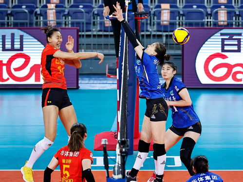 排球 女排聯賽 山東勝福建