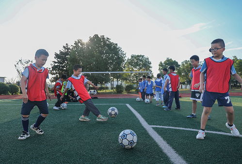 足 夠精彩 球 動童心