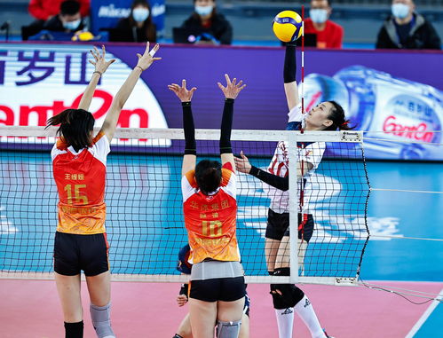 排球 女排聯(lián)賽 天津勝遼寧