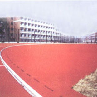 橡膠道牙在體育場地中的應用與優勢