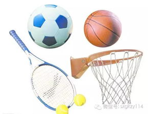 未來十年體育行業最賺錢的17大領域盤點