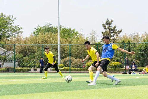 體育精神與文明同行 日照體育事業的高質量發展